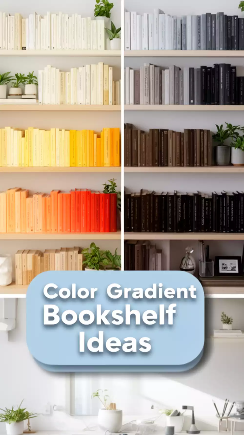 Home Office Bookshelf Organised by Colour Gradient From Light to Dark for a Clean Aesthetic