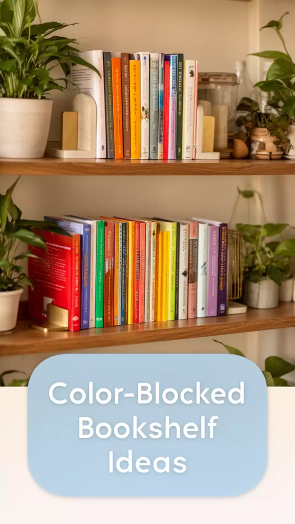 Living Room Bookshelf Styled With Books Faced Out in a Colour-Blocked Arrangement