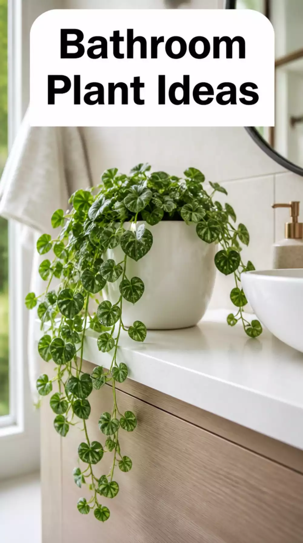 Small Trailing Plant in White Ceramic Pot for Bathroom Vanity